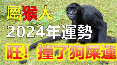 生肖屬猴|屬猴人2024年運勢早知道 十二生肖屬猴人2024年運勢。